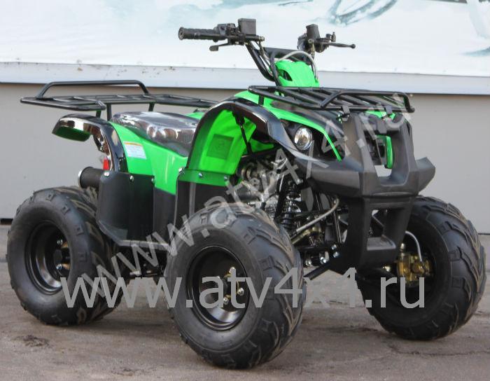 Irbis Atv110u    -  10