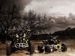 Утилитарные квадроциклы Stels ATV Dinli 700, 500, купить Динли Стелс АТВ, отзывы, тесты, цены, ремонт в компании ATV4x4 Утилитарные квадроциклы Stels ATV Dinli 700, 500, купить Динли Стелс АТВ, отзывы, тесты, цены, ремонт в компании ATV4x4