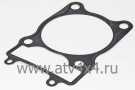   STELS-500 Y LEOPARD (.188MR-1032001, LU089746) (- STELS)