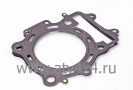   STELS-500 Y LEOPARD (.188MR-1003003, LU089748) (- STELS)