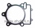   Stels ATV-600/700/800 Dinli/GT () (.E150014-00, LU014516) (- STELS)