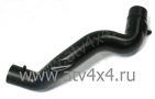     PE LEOPARD YL (.A500H-21520L, JU110875) (- STELS)