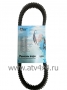     Stels  600 321141 (.RP52-2221-C-0_, LU093823_) (- SNOWDOG)
