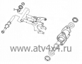     Stels ATV-50 (.53203G00S000, LU033014) (- STELS)