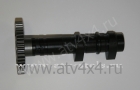    ( ) Stels ATV-700 Dinli (.E150143-00, LU014328) (- STELS)