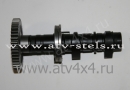    ( ) Stels ATV-700 Dinli (.E150144A00, LU014333) (- STELS)