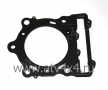   Stels ATV 700D/GT/Dinli (102, ) (.E150012-00, LU014438) (- STELS)