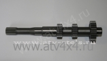     Stels ATV-600/700/800Dinli (.E150039-00, LU014874) (- STELS)