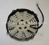    . Stels ATV-300 (.2.6.01.0041, LU019266) (- STELS)