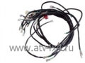    Stels ATV-500 Kazuma ( ) (.C500-3700000, LU018567) (- STELS)