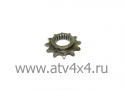       Stels ATV-300 (.3.2.01.0550, LU019418) (- STELS)