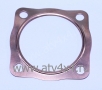    Stels  ATV 100RS / Jam-100 (.100310-104-0000, LU074835) (- STELS)