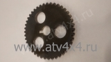    Stels UTV800 (.14321-F68-0000, LU029802) (- STELS)
