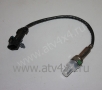   Stels ATV/UTV 500/700/800H EFI (.39160-116-0000, LU053655) (- Hisun)