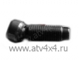    M6x0.75x22,  Stels Guepard 650/800/850/ 800/ 800/ 800/Viking 800/  (.100714-800-0000, LU072393) (- STELS)