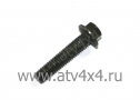    M6x1.0x 30,  Stels ATV-500 Kazuma/500GT (.9102-06-030, LU014747) (- STELS)