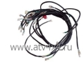    Stels 500GT (.C500B-3700000, LU027278) (- STELS)