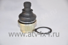    Arctic Cat 250/300/350/400/425/450/500/550/650/700/1000 (.42-1032, R06132) (- )