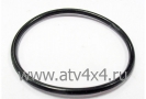   442.4, STELS-600 Y LEOPARD (.505C158, LU070883) (- STELS)